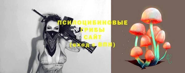 ALPHA PVP Корсаков
